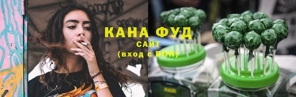 тгк Каменка
