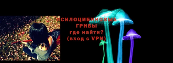 сатива Касимов