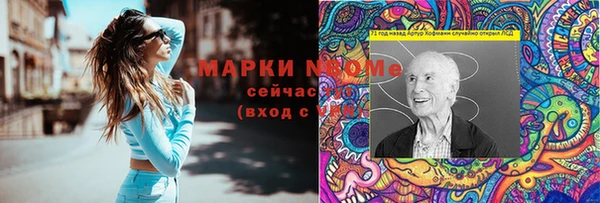 тгк Каменка