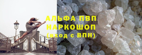 СК Каменск-Шахтинский